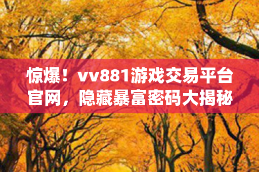 vv881游戏交易平台官网图片