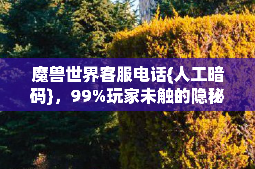 玩家未触的隐秘服务图片