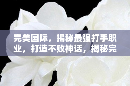 揭秘完美国际最强打手职业图片