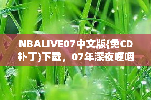 NBALIVE07中文版图片