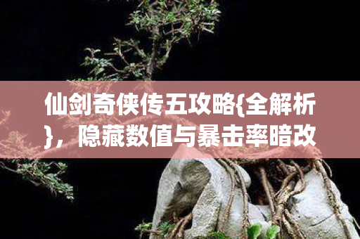 隐藏数值与暴击率暗改真相图片
