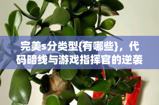 完美s分类型{有哪些},代码暗线与游戏指挥官的逆袭幻局 完美s分类型{有哪些},代码暗线与游戏指挥官的逆袭幻局