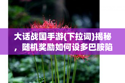 大话战国手游{下拉词}揭秘,随机奖励如何设多巴胺陷阱? 大话战国手游{下拉词}揭秘,随机奖励如何设多巴胺陷阱?