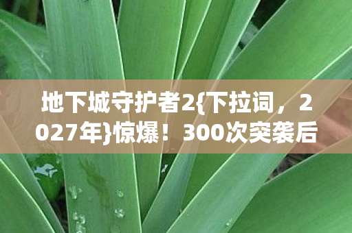地下城守护者2{下拉词,2027年}惊爆!300次突袭后结局大反转 地下城守护者2{下拉词,2027年}惊爆!300次突袭后结局大反转