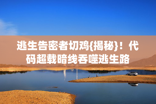 代码超载暗线吞噬逃生路图片