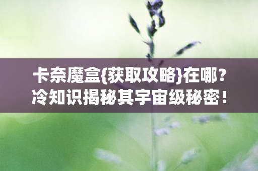 冷知识揭秘其宇宙级秘密图片