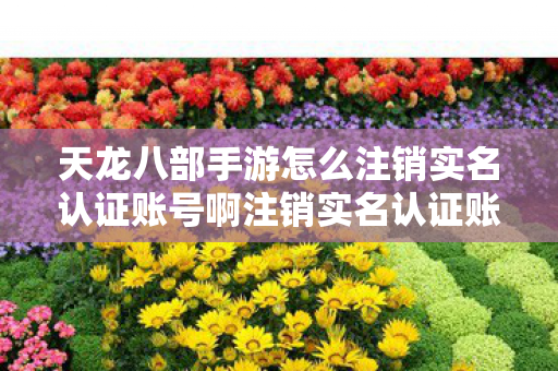 天龙八部手游怎么注销实名认证账号啊注销实名认证账号的详细步骤图片