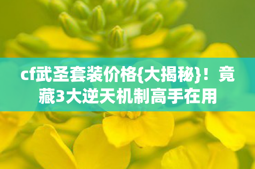 cf武圣套装价格{大揭秘}！竟藏3大逆天机制高手在用