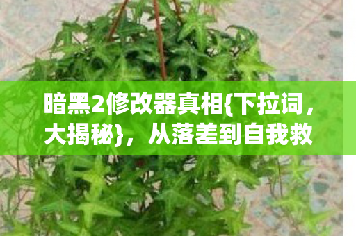 从落差到自我救赎骗局图片