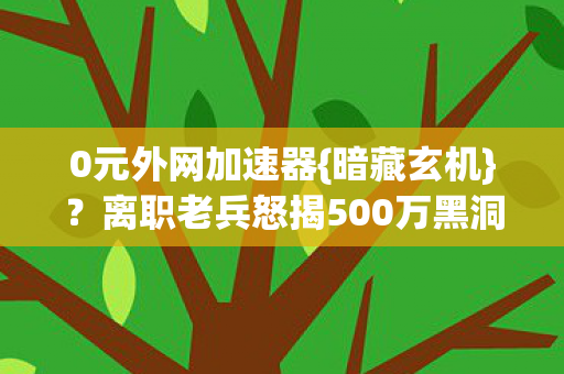 离职老兵怒揭500万黑洞图片