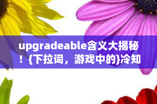 upgradeable含义大揭秘！{下拉词，游戏中的}冷知识颠覆认知