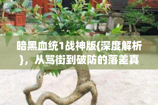 从骂街到破防的落差真相图片