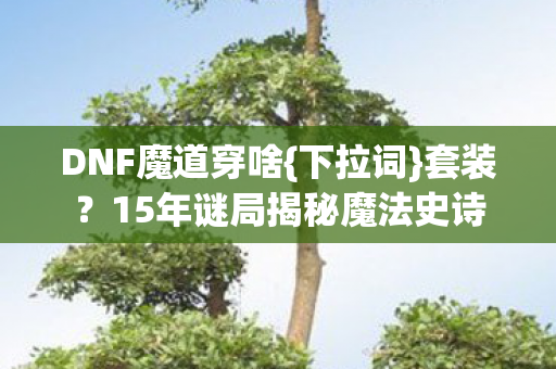 15年谜局揭秘魔法史诗图片