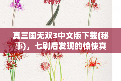 真三国无双3中文版下载图片