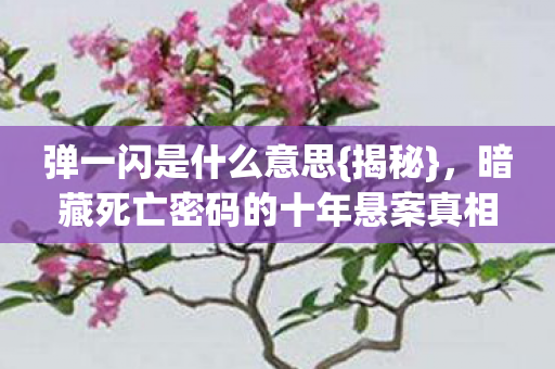 暗藏死亡密码的十年悬案真相图片