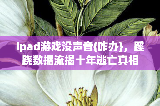 蹊跷数据流揭十年逃亡真相图片