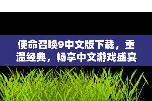 使命召唤9中文版下载图片
