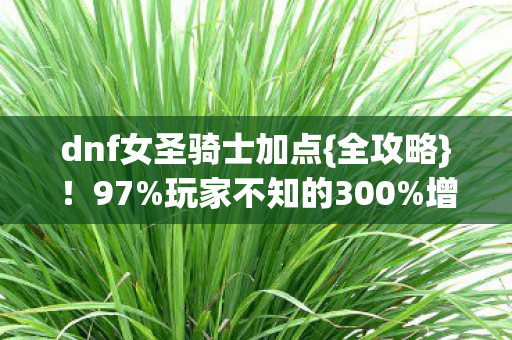 dnf女圣骑士加点{全攻略}!97%玩家不知的300%增伤密码 dnf女圣骑士加点{全攻略}!97%玩家不知的300%增伤密码