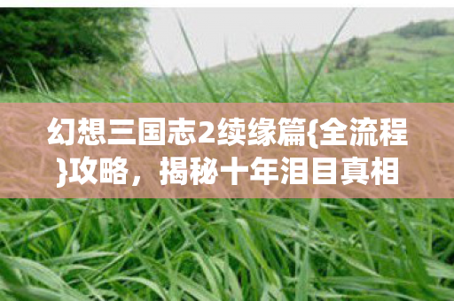 幻想三国志2续缘篇{全流程}攻略,揭秘十年泪目真相 幻想三国志2续缘篇{全流程}攻略,揭秘十年泪目真相