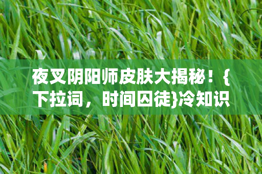 夜叉阴阳师皮肤大揭秘!{下拉词,时间囚徒}冷知识来袭 夜叉阴阳师皮肤大揭秘!{下拉词,时间囚徒}冷知识来袭