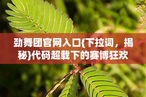 劲舞团官网入口{下拉词,揭秘}代码超载下的赛博狂欢 劲舞团官网入口{下拉词,揭秘}代码超载下的赛博狂欢