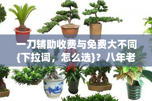 一刀辅助收费与免费大不同{下拉词,怎么选}?八年老玩家揭秘 一刀辅助收费与免费大不同{下拉词,怎么选}?八年老玩家揭秘