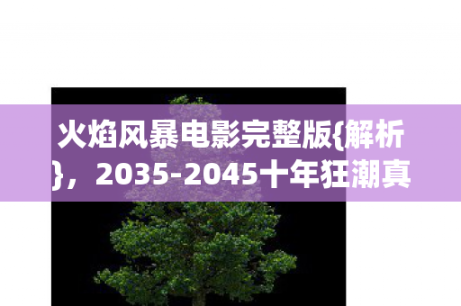 火焰风暴电影完整版{解析},2035-2045十年狂潮真相 火焰风暴电影完整版{解析},2035-2045十年狂潮真相