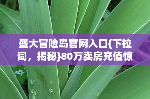 盛大冒险岛官网入口{下拉词,揭秘}80万卖房充值惊人内幕 盛大冒险岛官网入口{下拉词,揭秘}80万卖房充值惊人内幕