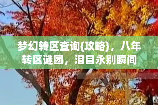 梦幻转区查询{攻略},八年转区谜团,泪目永别瞬间 梦幻转区查询{攻略},八年转区谜团,泪目永别瞬间