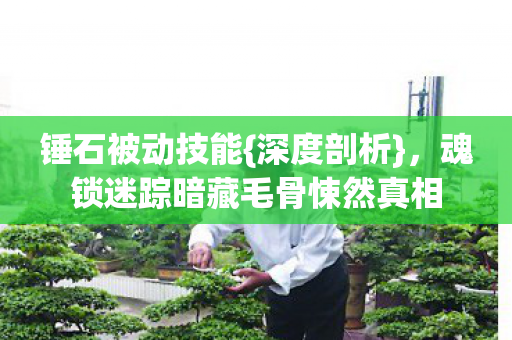 锤石被动技能{深度剖析},魂锁迷踪暗藏毛骨悚然真相 锤石被动技能{深度剖析},魂锁迷踪暗藏毛骨悚然真相
