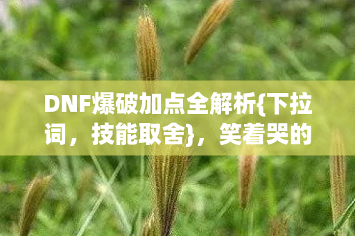 DNF爆破加点全解析{下拉词，技能取舍}，笑着哭的真相谁懂