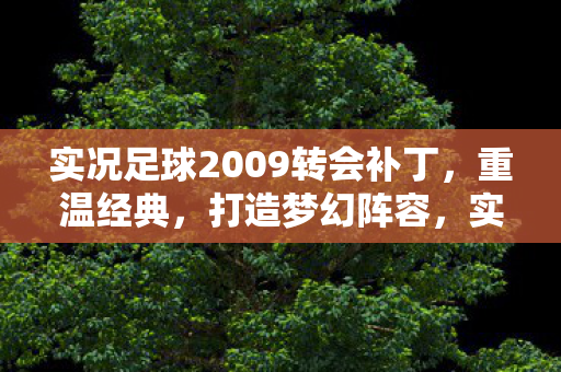 实况足球2009转会补丁，重温经典，打造梦幻阵容，实况足球2009转会补丁，重温经典，打造梦幻阵容