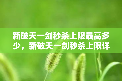 新破天一剑秒杀上限最高多少图片