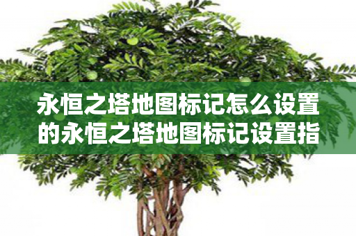 永恒之塔地图标记怎么设置的永恒之塔地图标记设置指南图片
