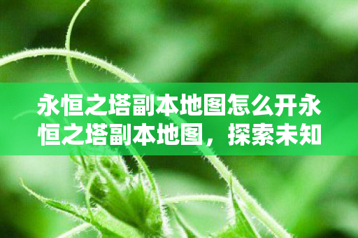 永恒之塔副本地图怎么开永恒之塔副本地图图片