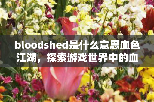 bloodshed是什么意思血色江湖图片