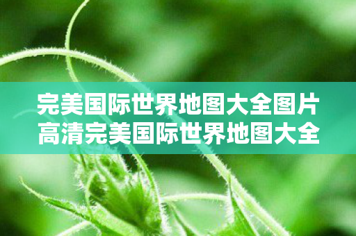 完美国际世界地图大全图片高清完美国际世界地图大全图片图片