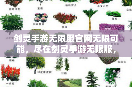 剑灵手游无限服官网无限可能，尽在剑灵手游无限服，无限可能，尽在掌握 —— 剑灵手游无限服官网