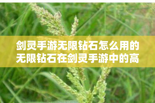 剑灵手游无限钻石怎么用的无限钻石在剑灵手游中的高效利用,剑灵手游无限钻石的高效利用策略 剑灵手游无限钻石怎么用的无限钻石在剑灵手游中的高效利用,剑灵手游无限钻石的高效利用策略