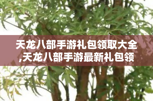 天龙八部手游最新礼包领取天龙八部手游礼包大全最全礼包领取一览图片