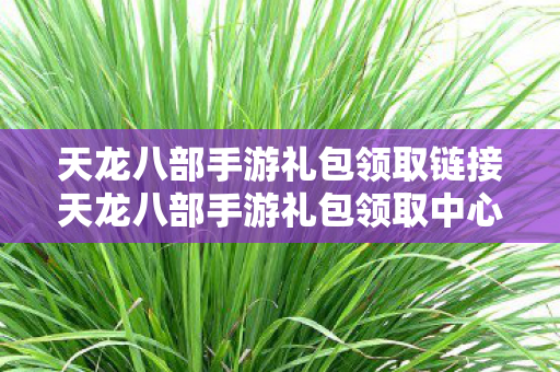 天龙八部手游礼包领取链接天龙八部手游礼包领取中心图片