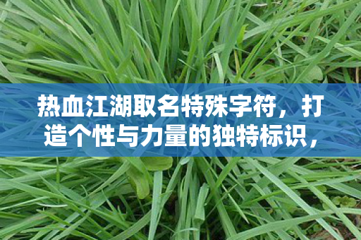 热血江湖取名特殊字符，打造个性与力量的独特标识，热血江湖，特殊字符打造个性与力量的独特标识