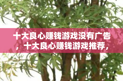 十大良心赚钱游戏没有广告,十大良心赚钱游戏推荐,无广告干扰,轻松赚取额外收入! 十大良心赚钱游戏没有广告,十大良心赚钱游戏推荐,无广告干扰,轻松赚取额外收入!