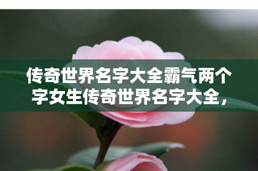 传奇世界名字大全霸气两个字女生传奇世界名字大全图片