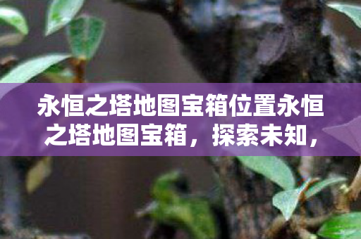 永恒之塔地图宝箱位置永恒之塔地图宝箱图片