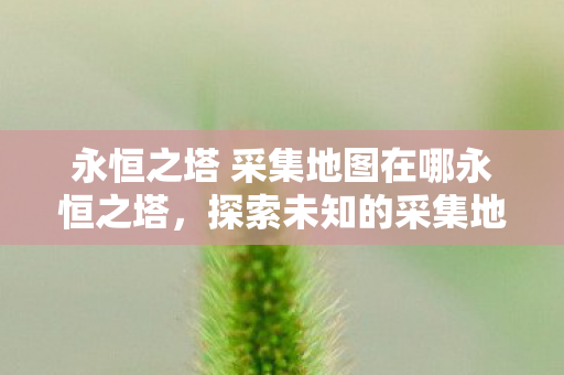 永恒之塔 采集地图在哪永恒之塔图片