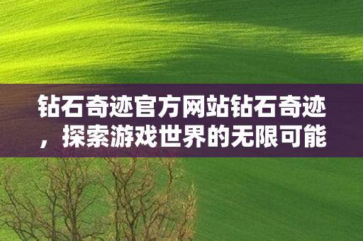 钻石奇迹官方网站钻石奇迹图片