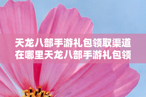 天龙八部手游礼包领取渠道在哪里天龙八部手游礼包领取全攻略图片