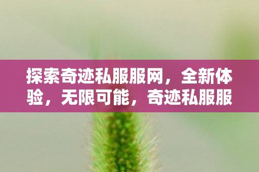 探索奇迹私服服网图片