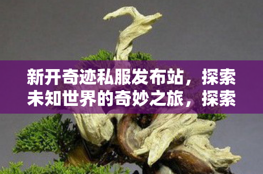 新开奇迹私服发布站等你来冒险图片